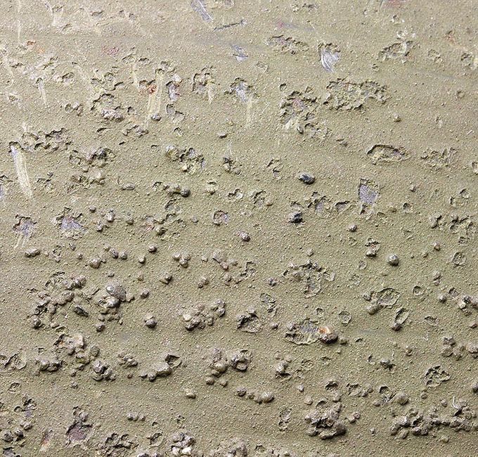 The paint structure of the M40 helmet above. This paint contains small sand pebbles. Light sand texture.