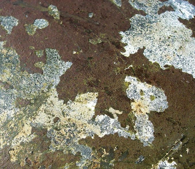 Close-up picture of the winter paint.